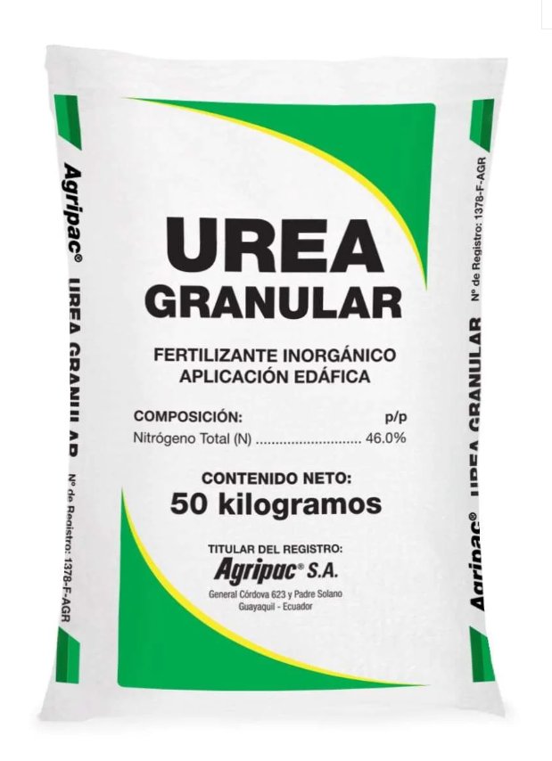 UREA