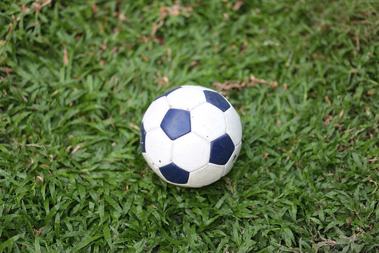 A football resting on grass; a representative sporting image. File photo; not the reported event.